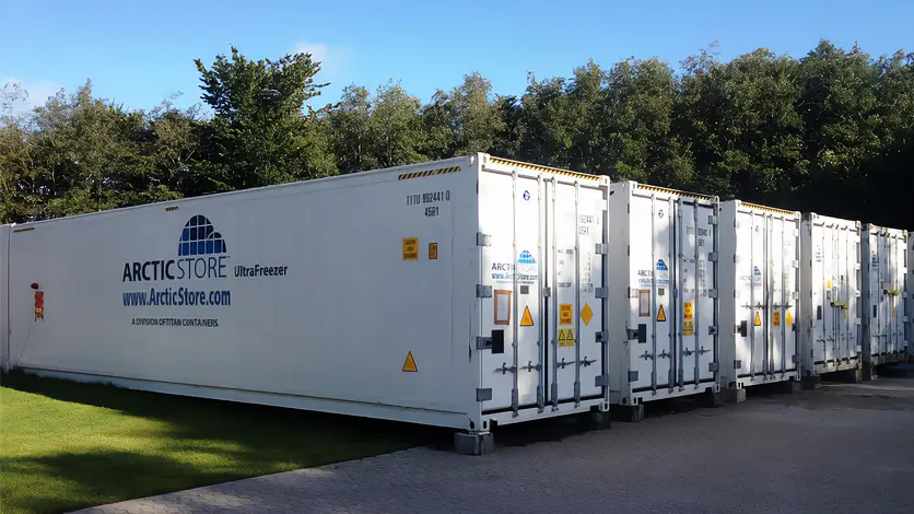 Armazenamento a frio de temperatura ultrabaixa Arctic Ultrafreezer - Contêineres refrigerados para locação