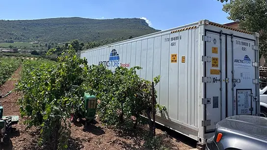 Armazenamento a frio ArcticStore em vinícolas da Grécia – Contêineres refrigerados