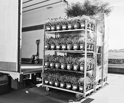 Setor agrícola – Armazenamento a frio