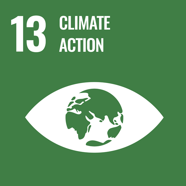 Meta 13: Ação climática